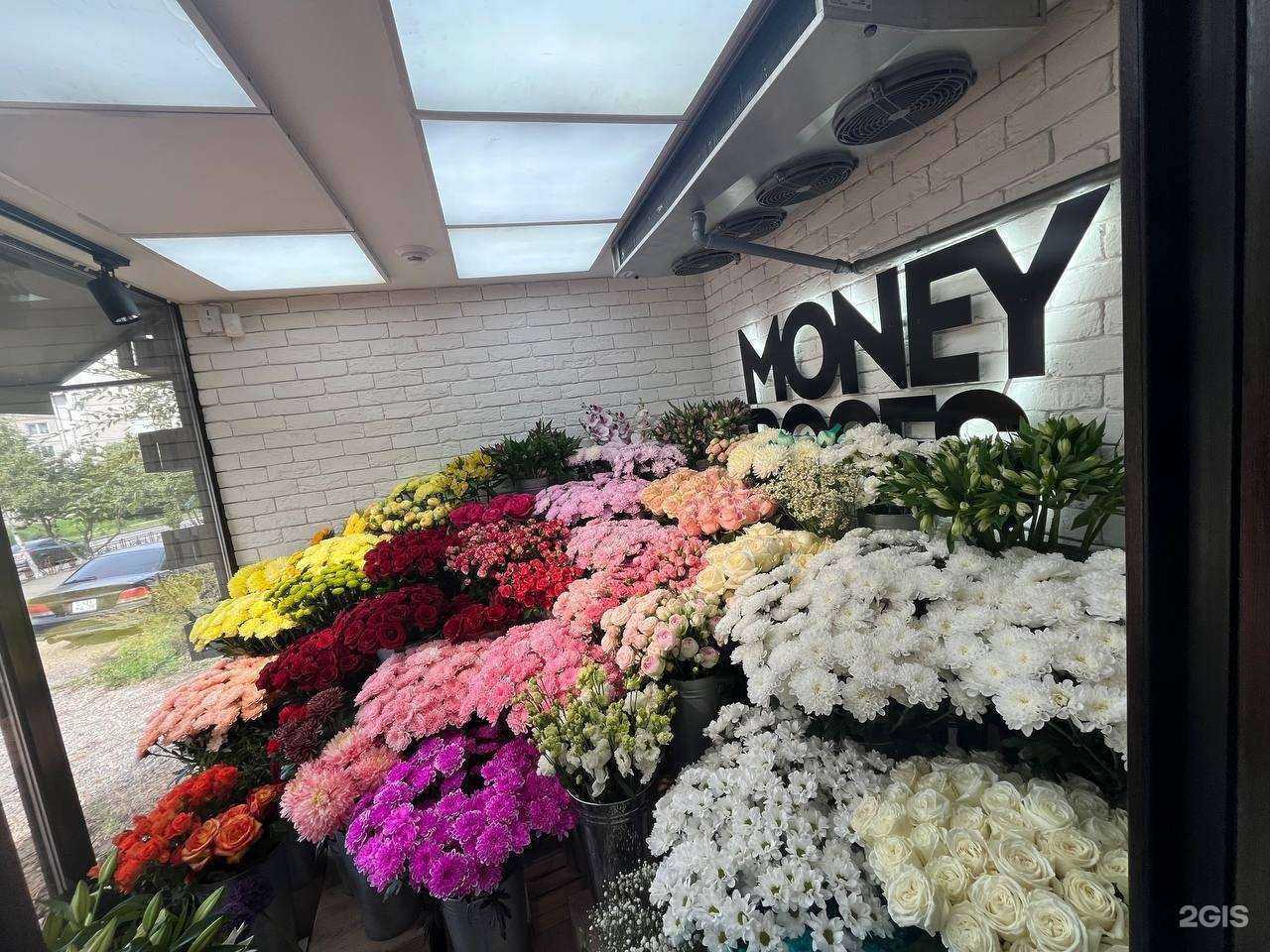 Отзывы на компанию Money roses в Иркутске c фото