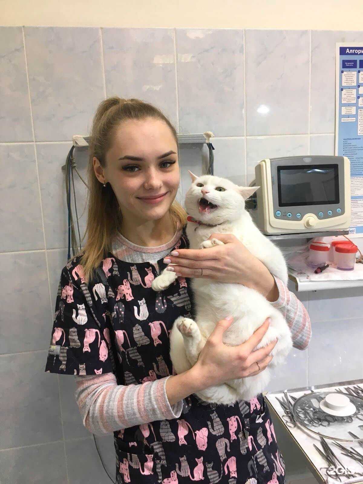 Отзывы на компанию Оазис в Брянске c фото