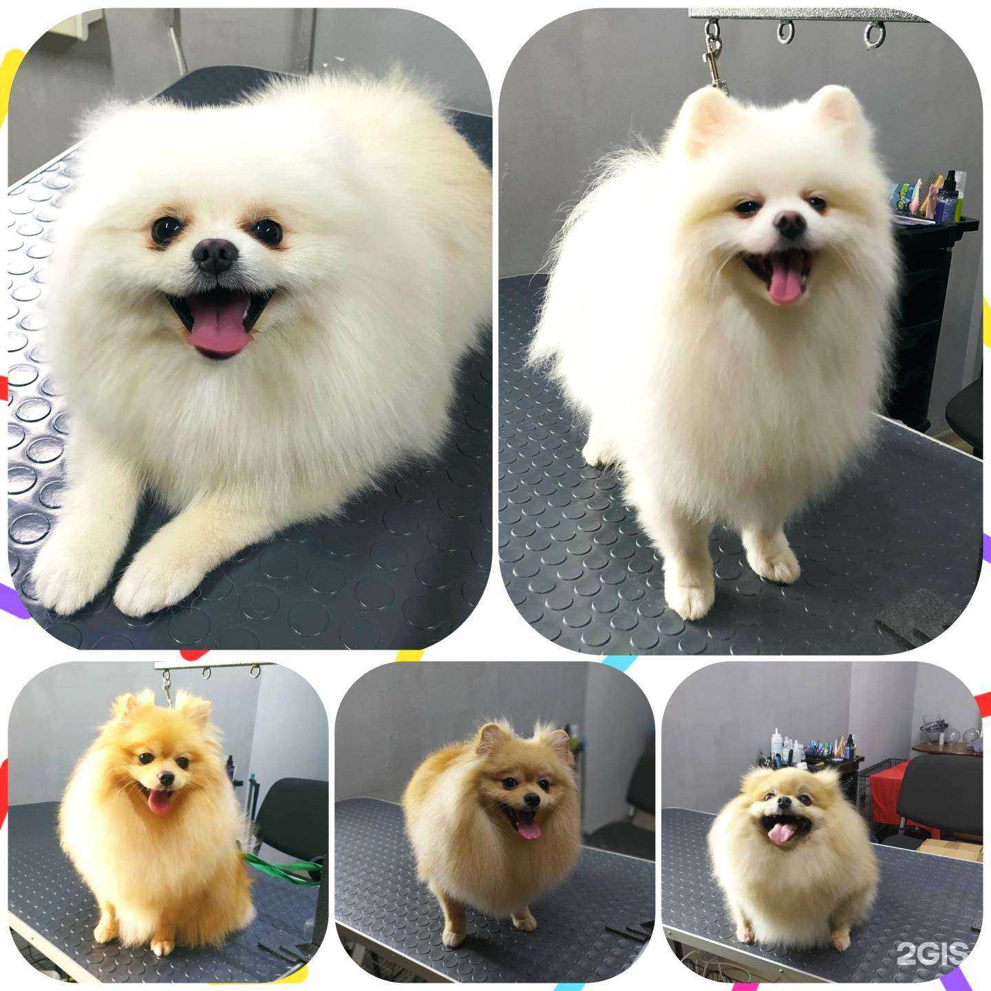 Отзывы на компанию Любимка в г. Междуреченск c фото