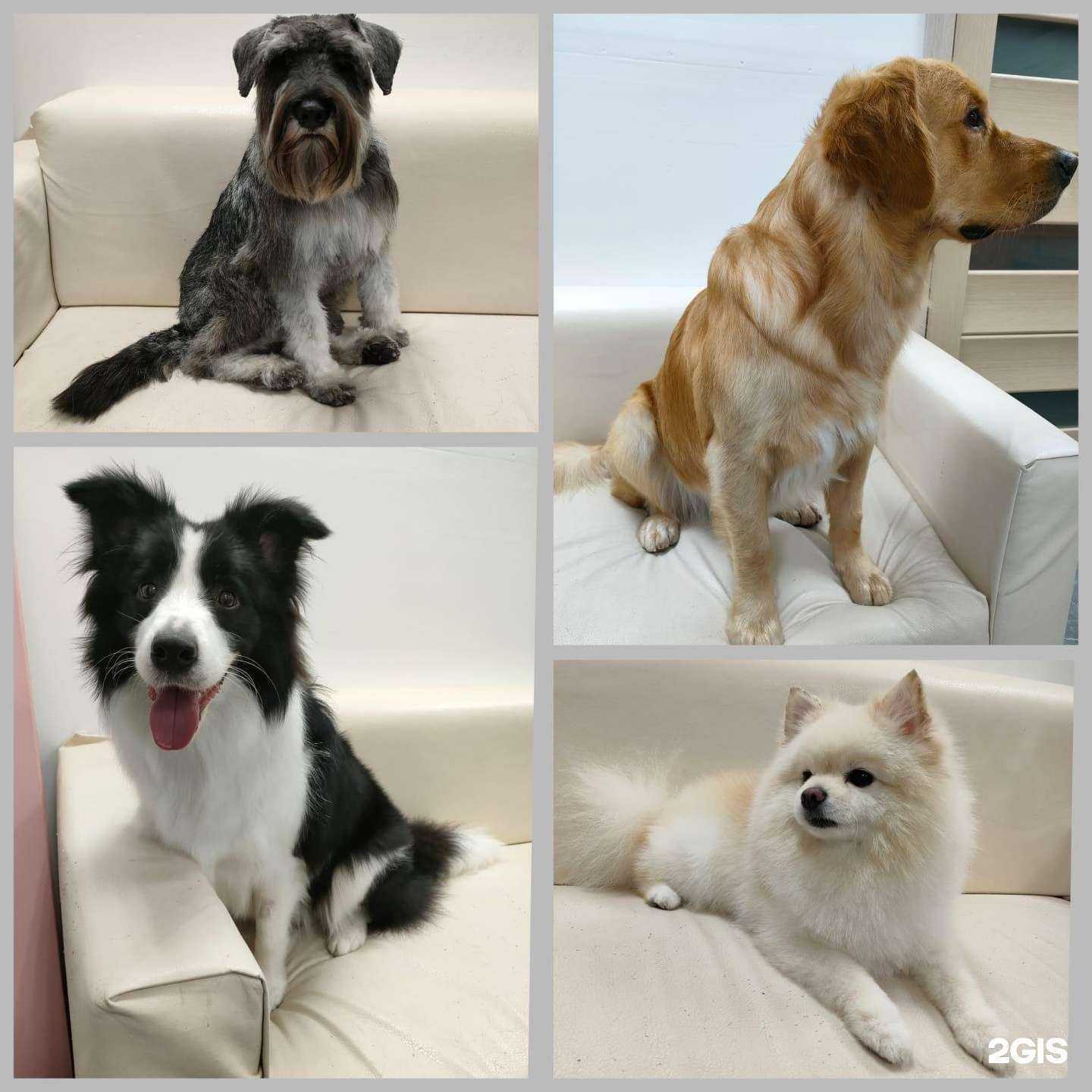 Отзывы на компанию Фармвет в г. Краснодар c фото