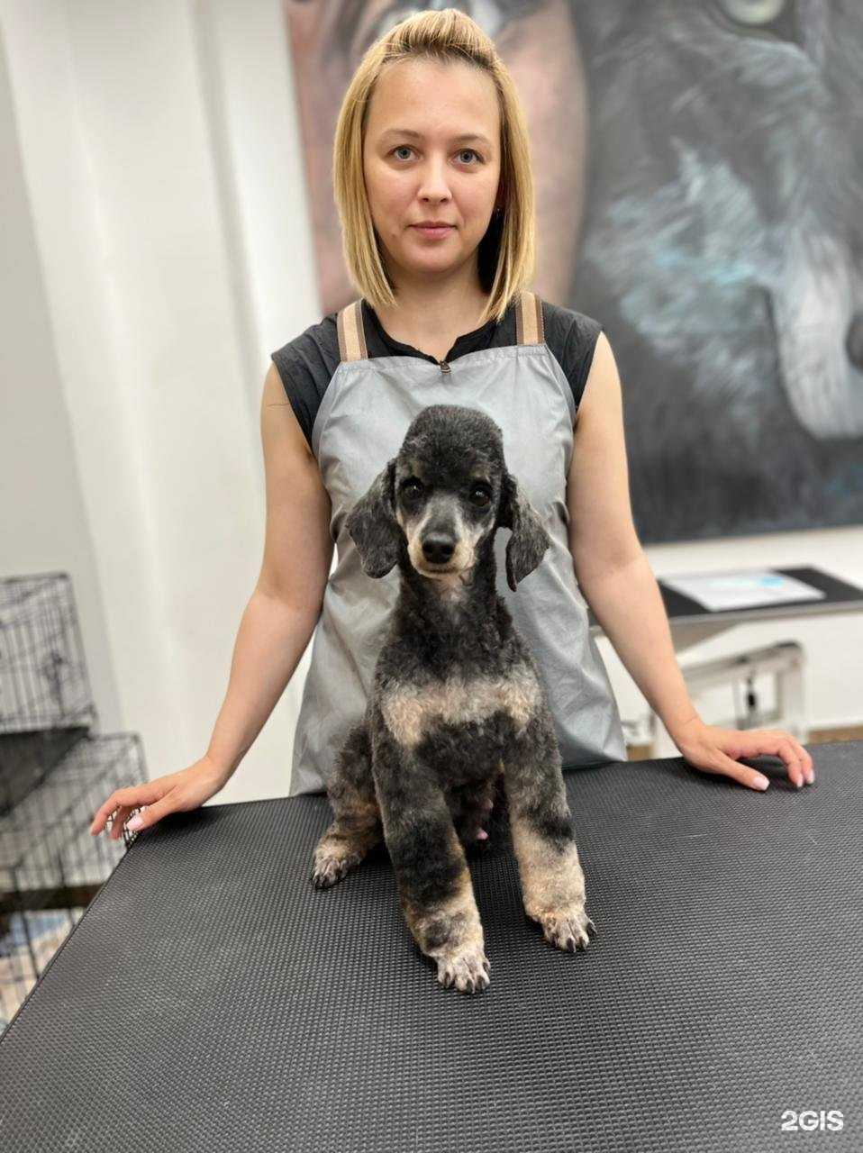 Отзывы на компанию Акварель в г. Нижний Тагил c фото