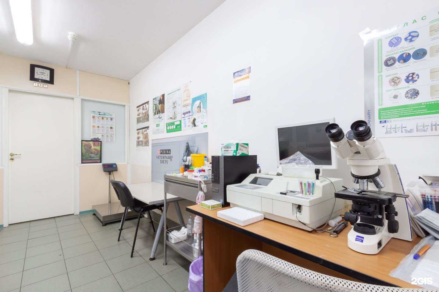 Отзывы на компанию Доктор Айболит в Екатеринбурге c фото