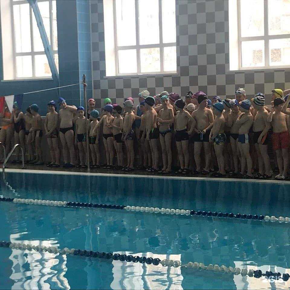 Отзывы на компанию ССШОР по плаванию в г. Ижевск c фото