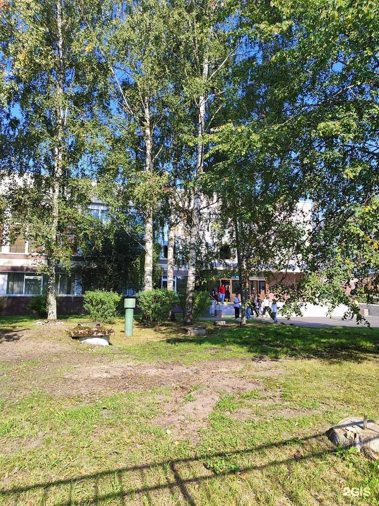 Отзывы на компанию Topgun в Кировске c фото