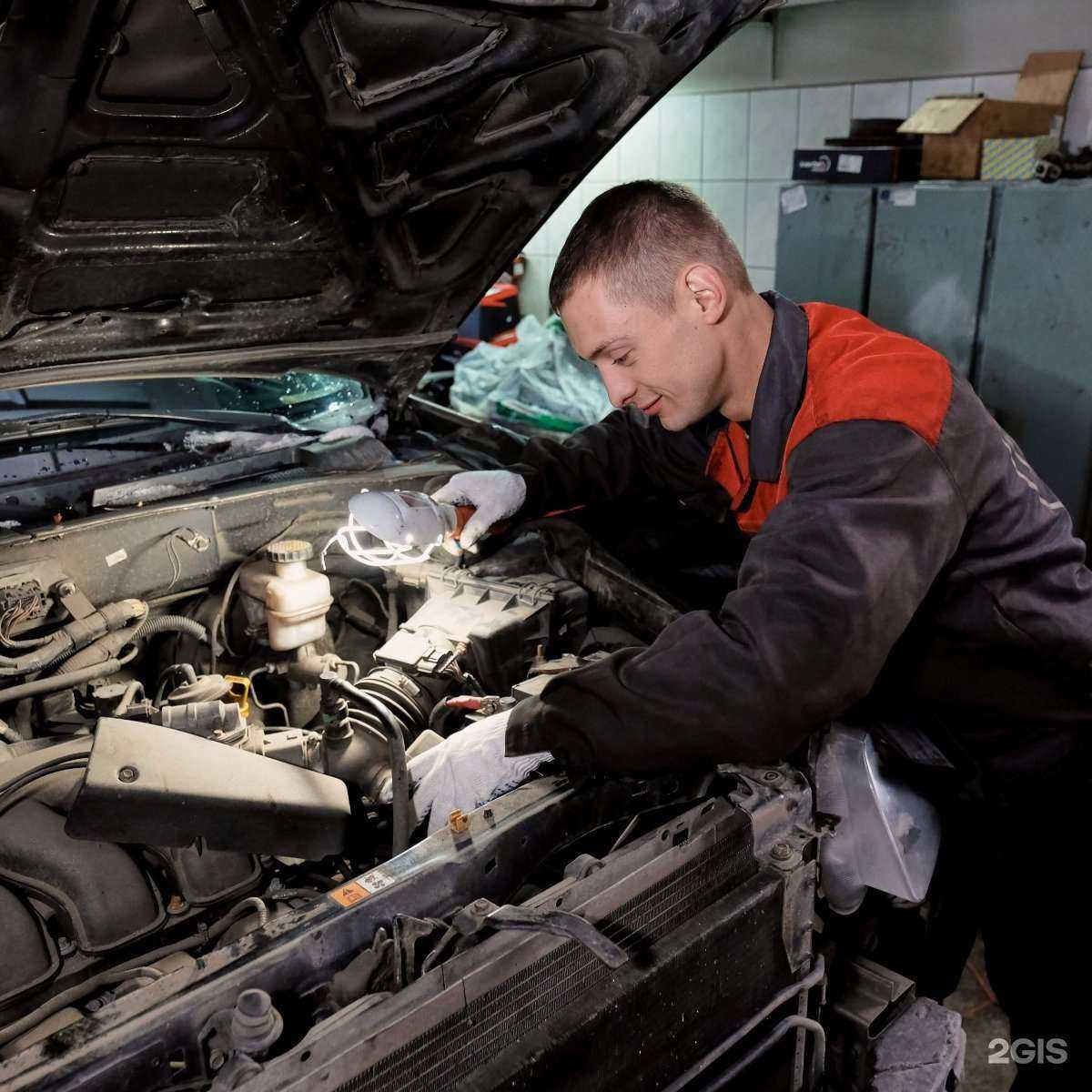 Отзывы на компанию Барк в Мурманске c фото