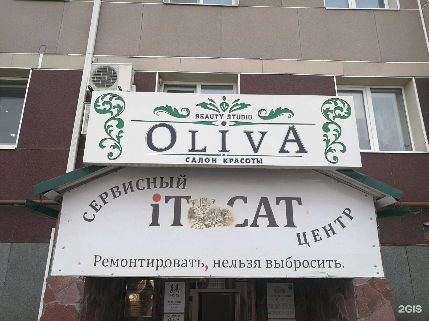 Отзывы на компанию iT-Cat в г. Ханты-Мансийск c фото