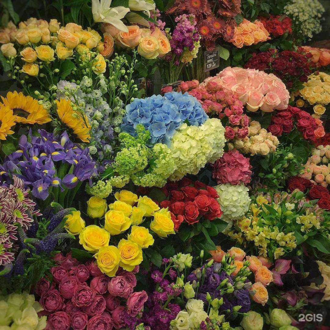 Отзывы на компанию Система Глобус в г. Киров c фото