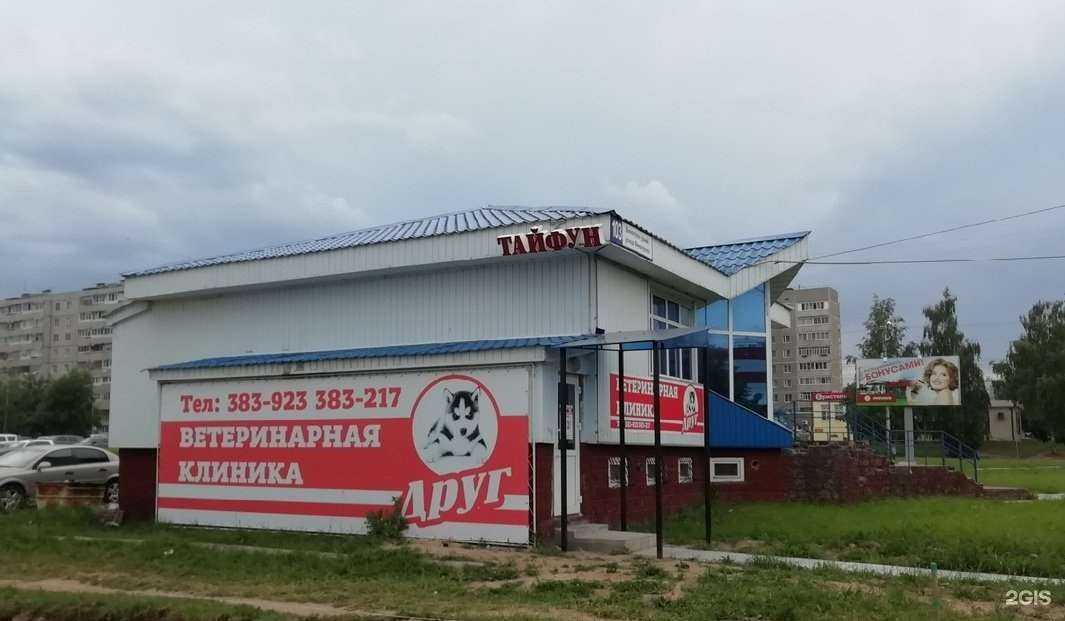 Отзывы на компанию Друг в Новочебоксарске c фото