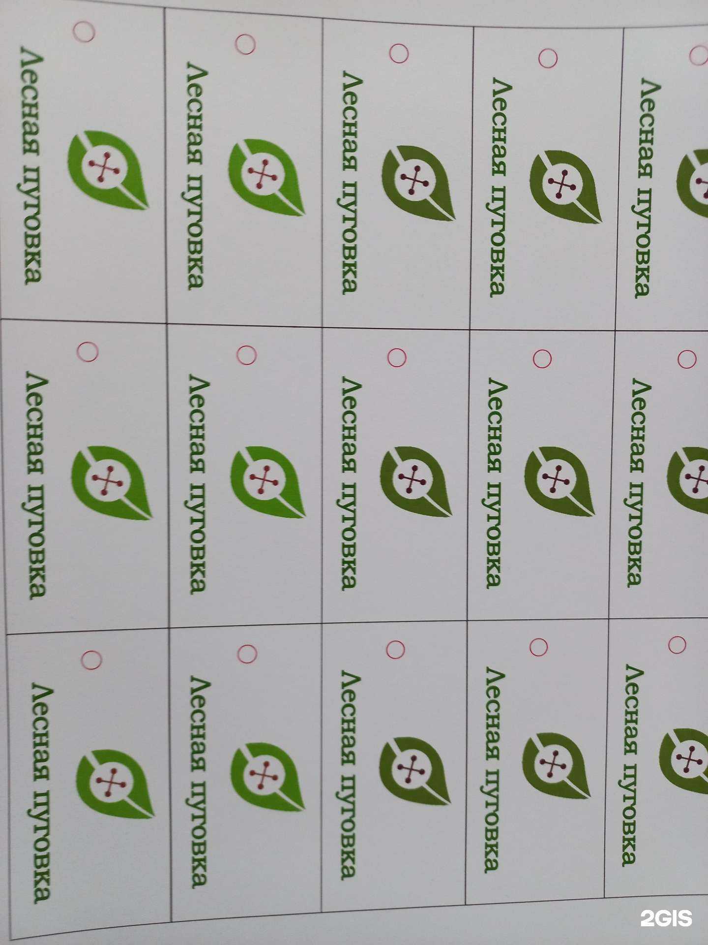 Отзывы на компанию Хамелеон в г. Новосибирск c фото