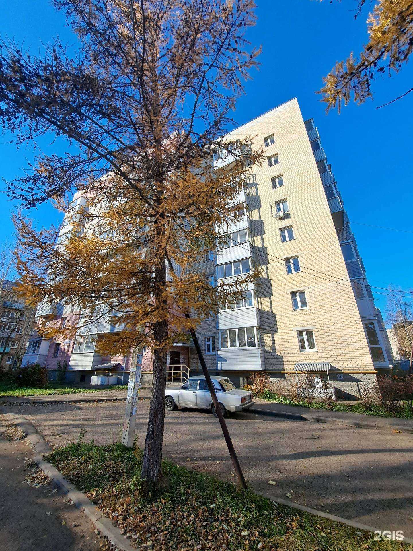 Отзывы на компанию Мяу-Гав в Ярославле c фото - фотография 2 из 2