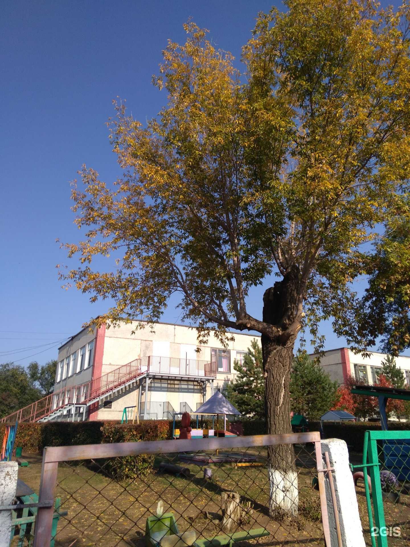 Отзывы на компанию Детский сад №50 в г. Оренбург c фото