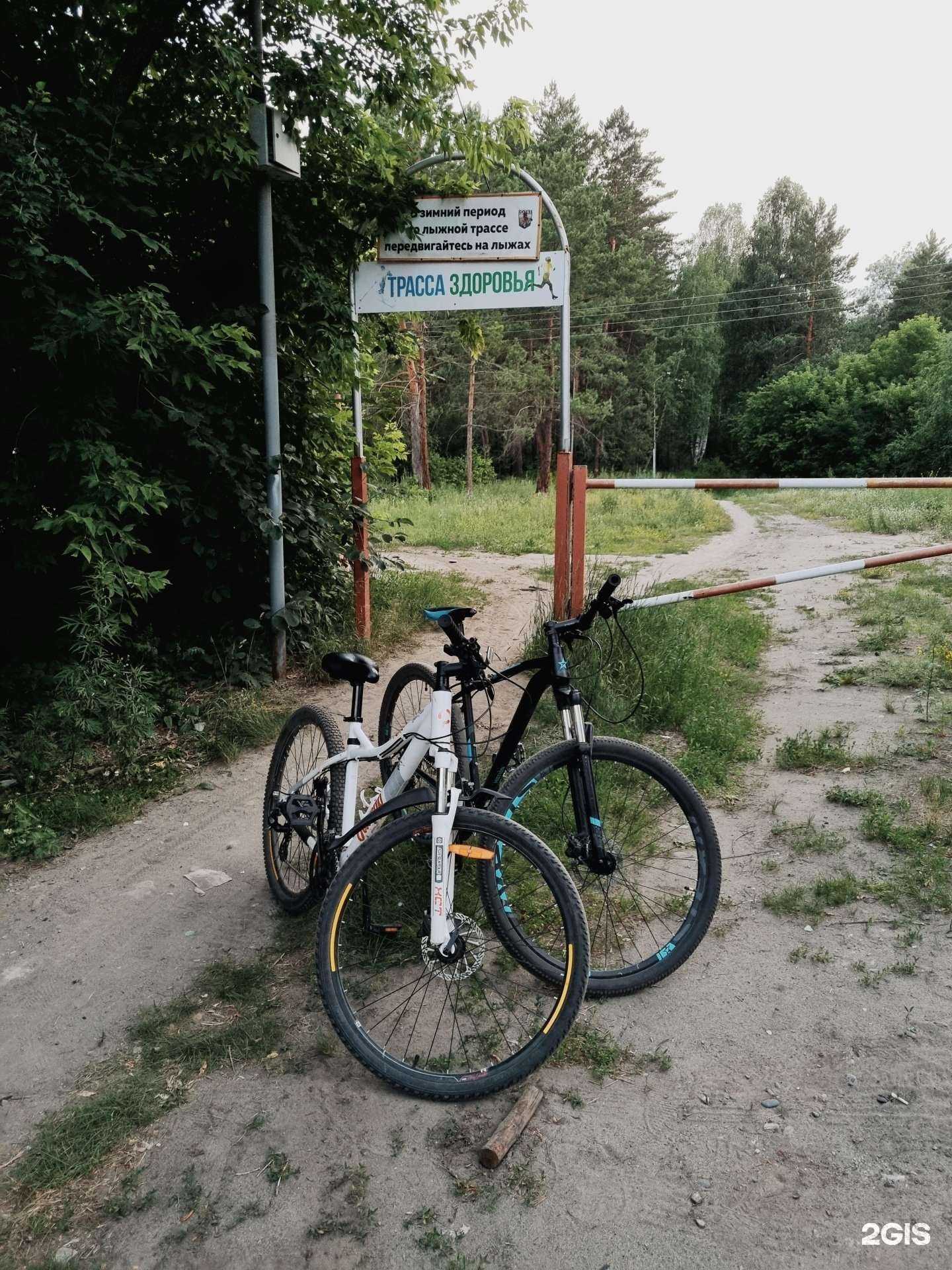 Отзывы на компанию #Бери_катай в г. Бийск c фото