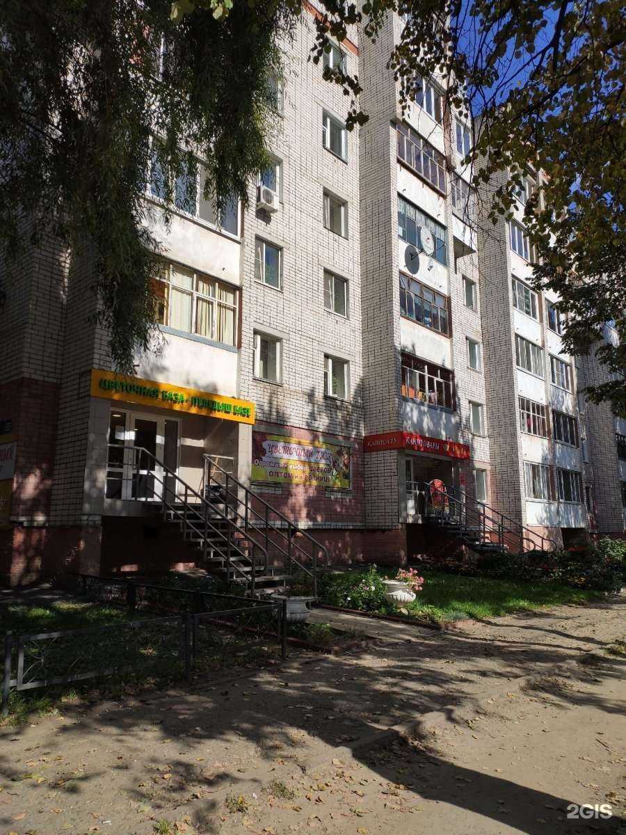 Отзывы на компанию Чёрная кошка в Йошкар-Оле c фото - фотография 2 из 2