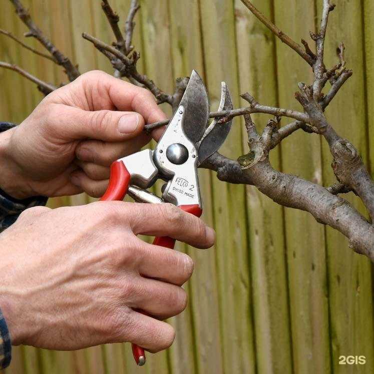 Отзывы на компанию Леспарксад сервис в Казани c фото