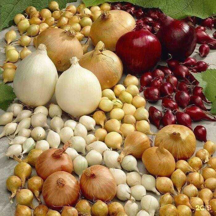 Отзывы на компанию Мир садовода XXI в Рязани c фото