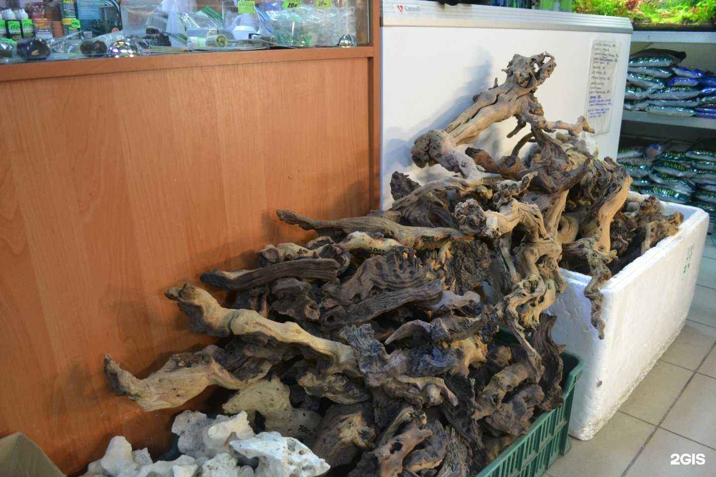 Отзывы на компанию Аквариумист в Калининграде c фото