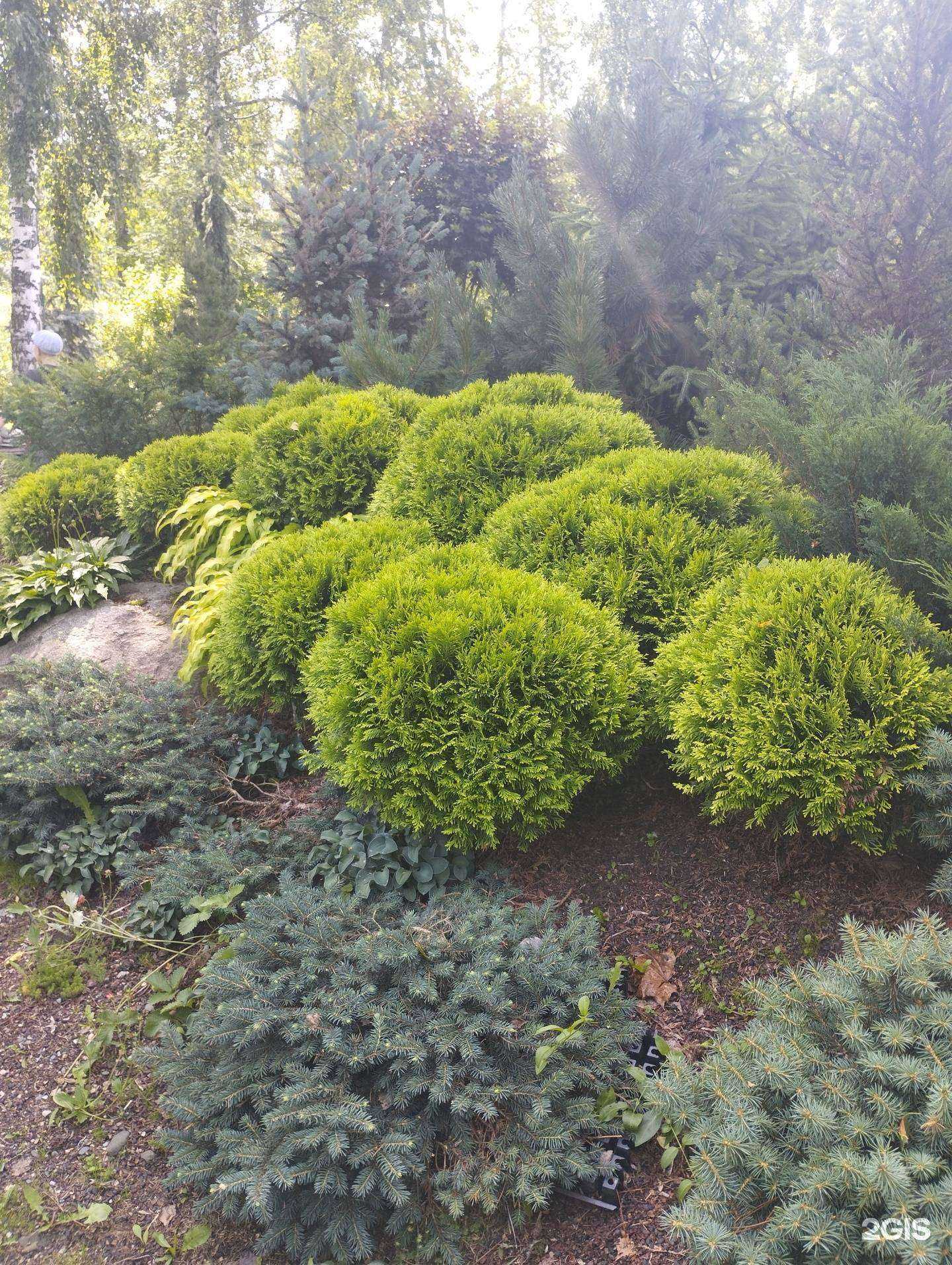 Отзывы на компанию Сияние в Новосибирске c фото - фотография 2 из 2