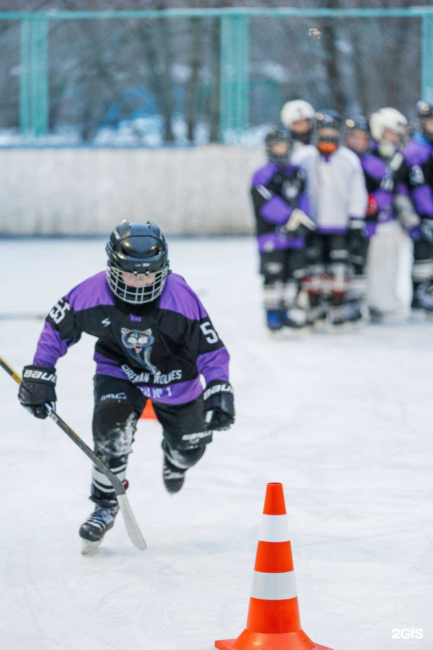 Отзывы на компанию Сибирские Волки в Омске c фото