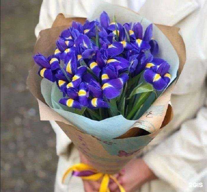 Отзывы на компанию Флоритэль в Кемерове c фото