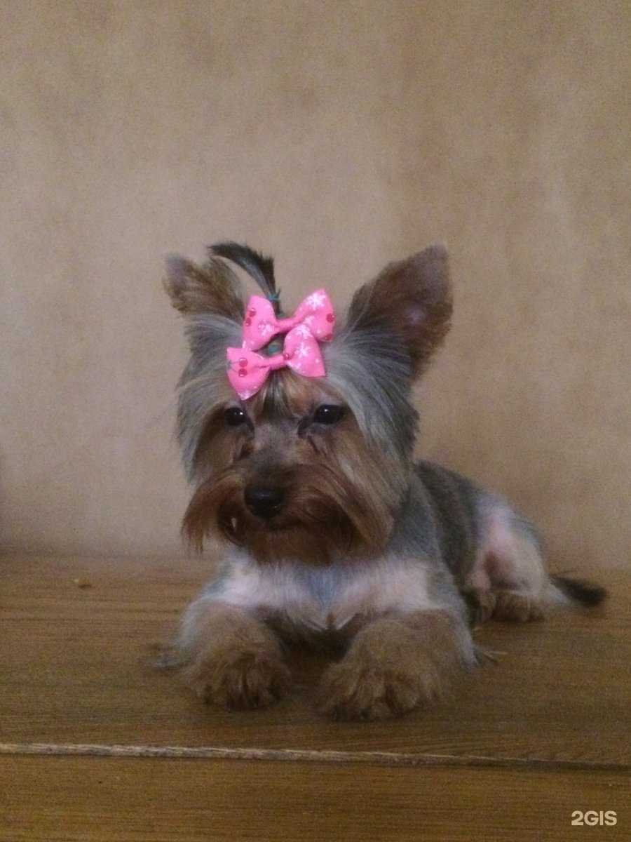 Отзывы на компанию Доверие в Краснодаре c фото