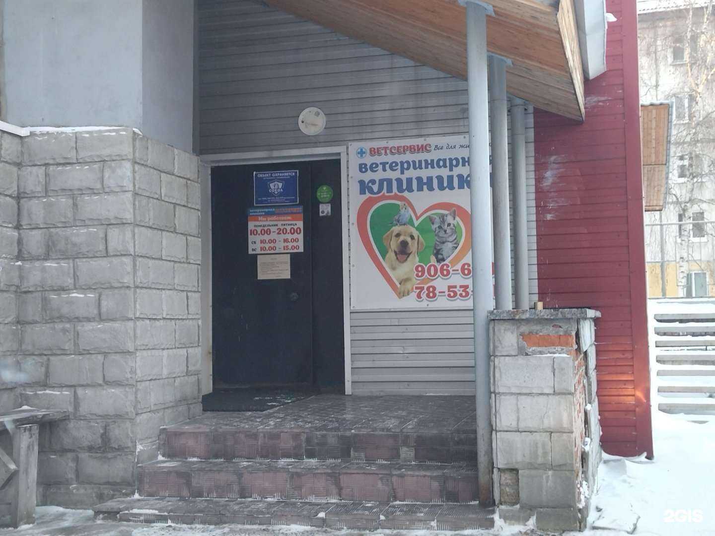 Отзывы на компанию Ветсервис в Северске c фото