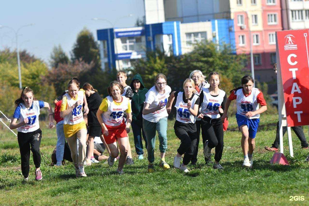 Отзывы на компанию Кузбасский центр физического воспитания детей в Кемерове c фото