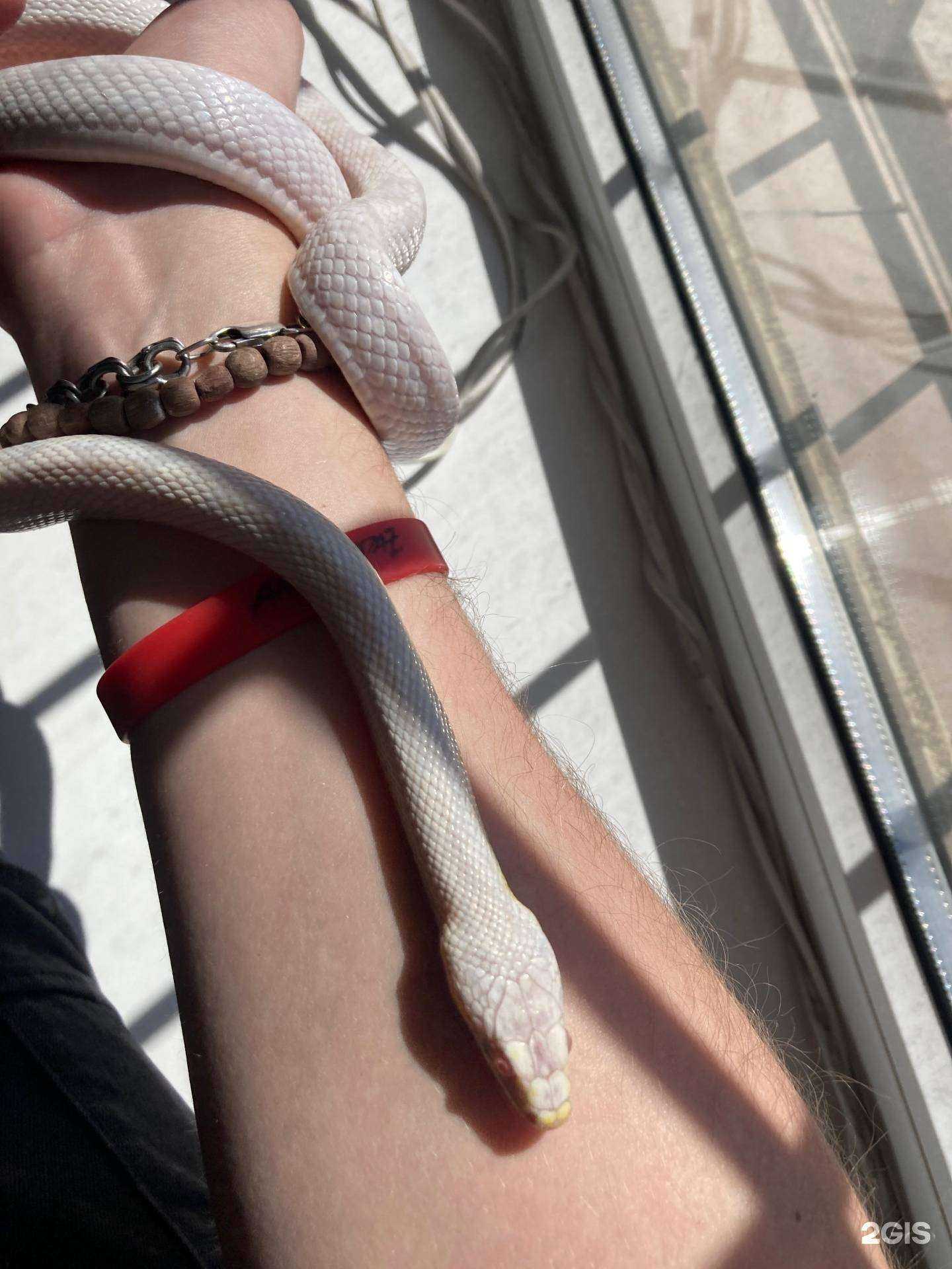 Отзывы на компанию Smoke Inside в г. Ставрополь c фото