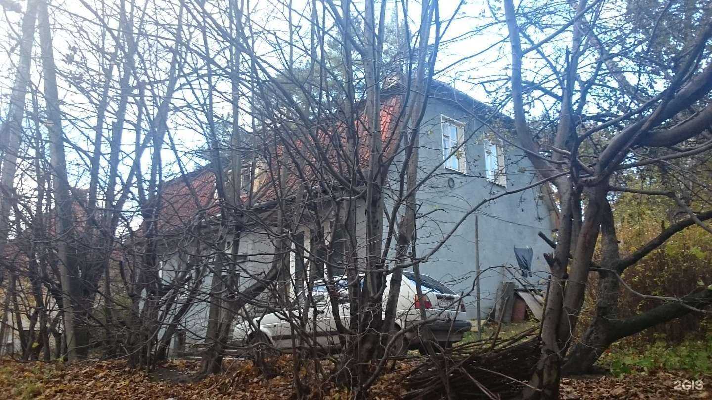 Отзывы на компанию Golden Konig Rent в Светлогорске c фото - фотография 2 из 2