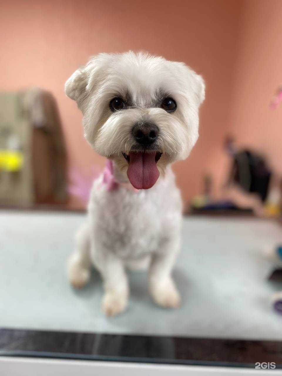 Отзывы на компанию ClassGroom в Калининграде c фото