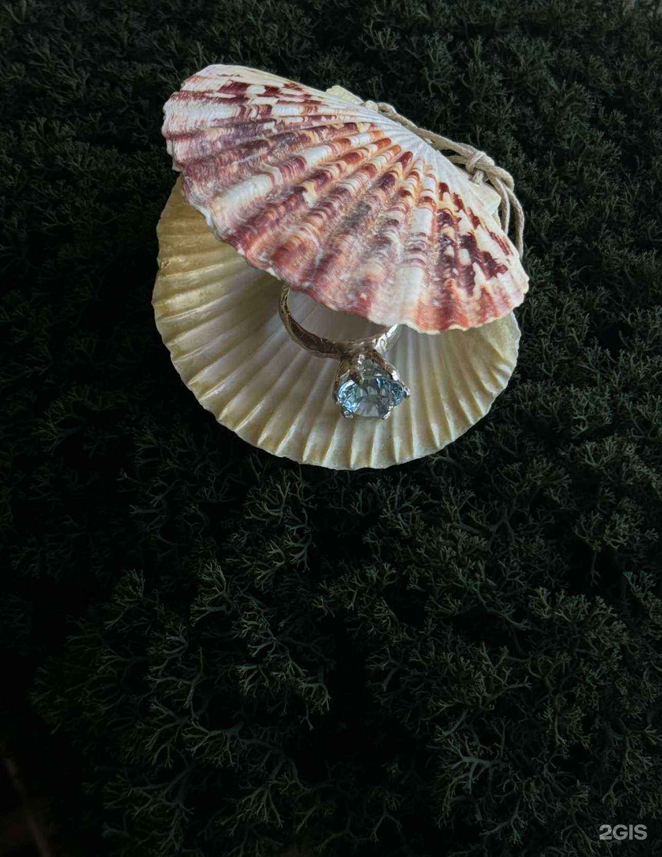 Отзывы на компанию Earth Fay в г. Казань c фото