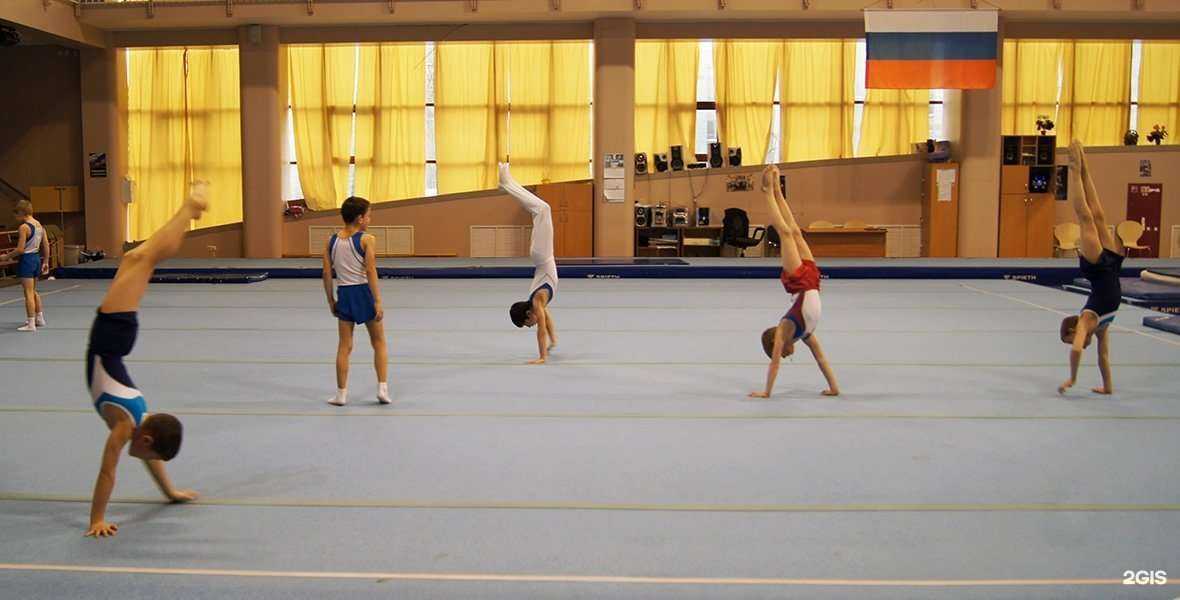 Отзывы на компанию Федерация спортивной гимнастики Самарской области в Самаре c фото