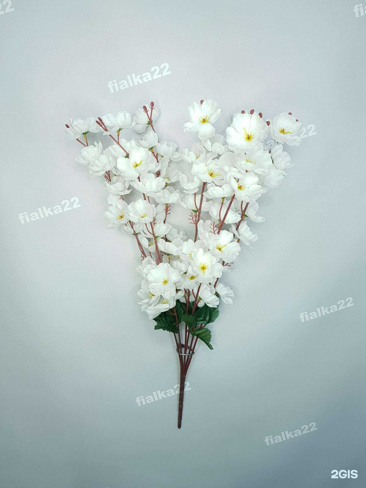 Отзывы на компанию Фиалка в Барнауле c фото