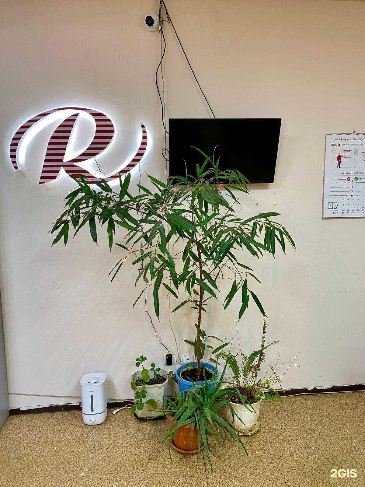 Отзывы на компанию Сервисный центр в г. Великий Новгород c фото