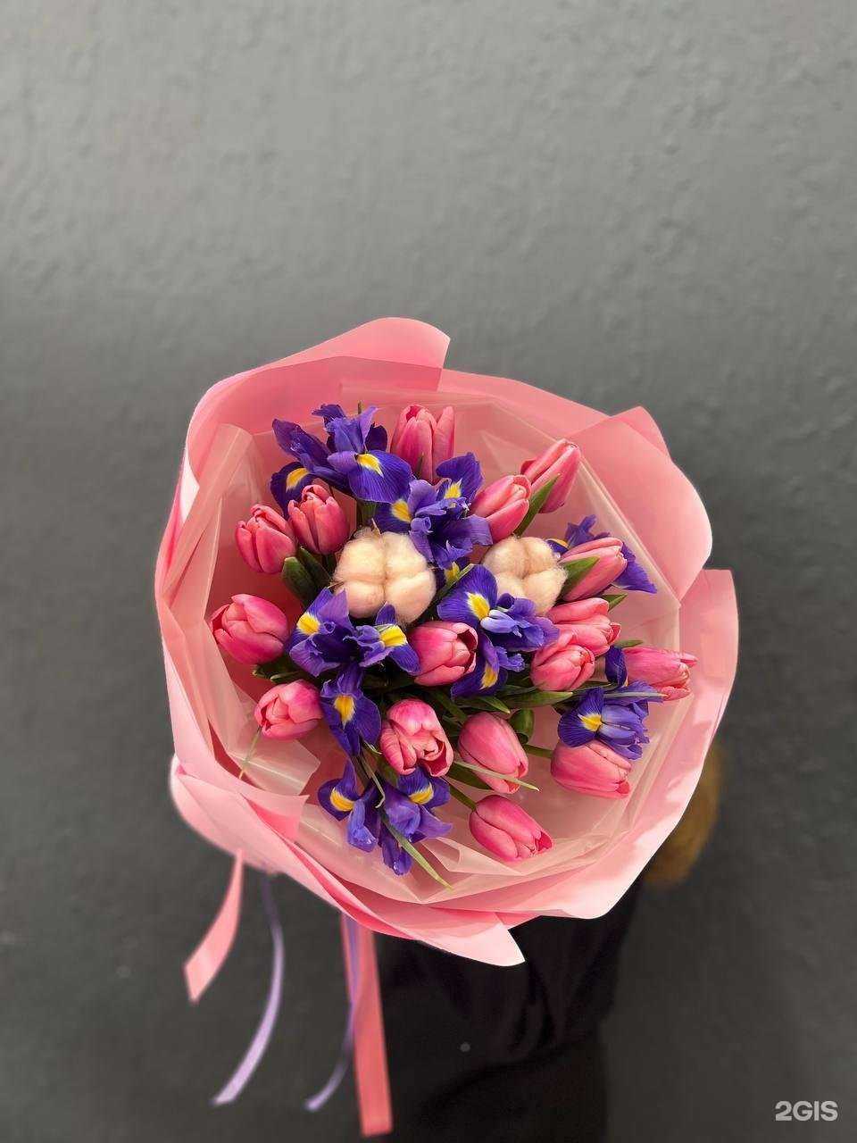 Отзывы на компанию Фламинго в Краснодаре c фото