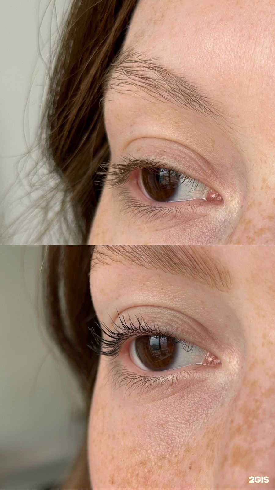 Отзывы на компанию Reels в Красногорске c фото