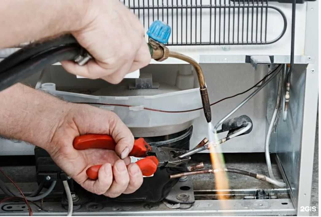 Отзывы на компанию Артальянс Сочи в г. Сочи c фото