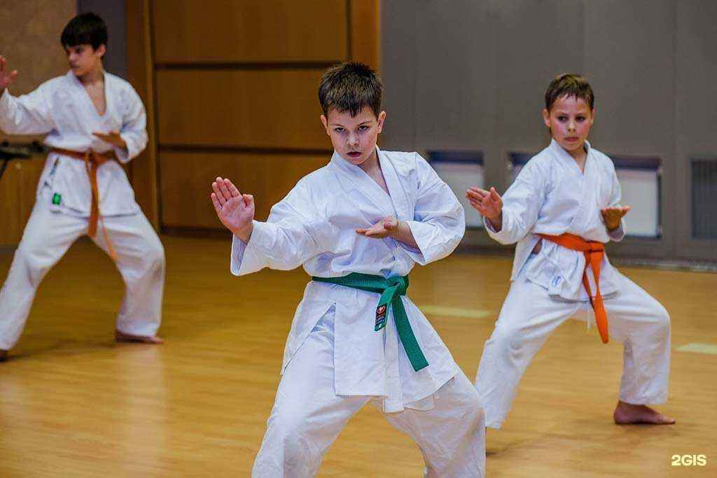 Отзывы на компанию Атари в Ростове-на-Дону c фото