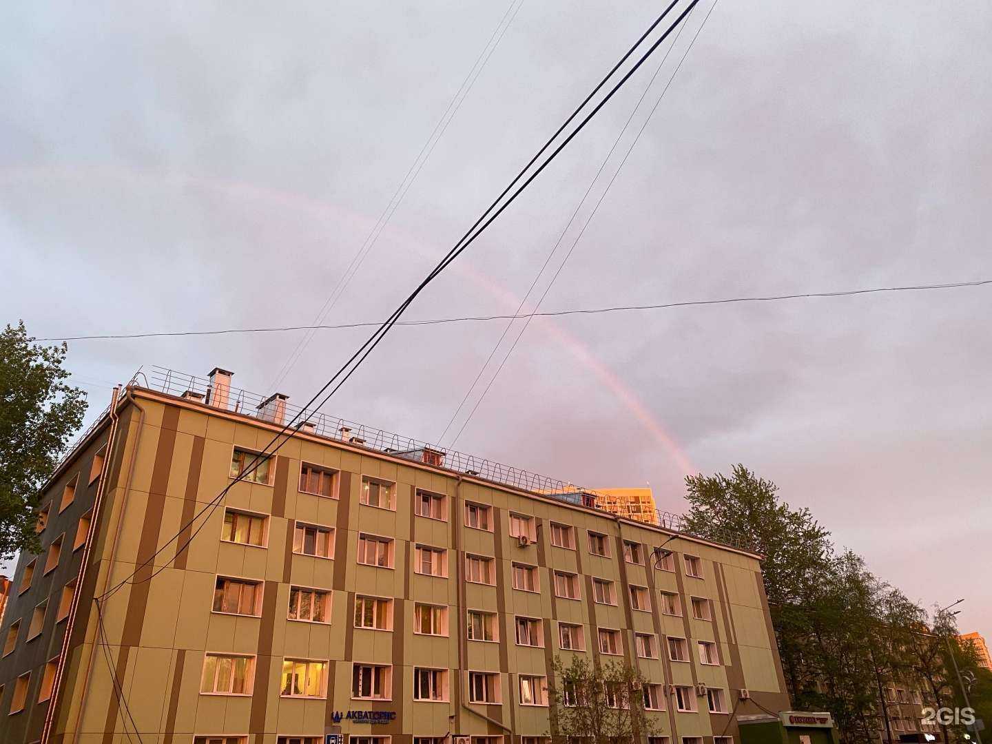 Отзывы на компанию Умный Дино в Перми c фото - фотография 2 из 2