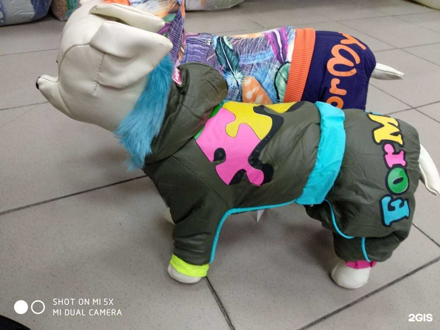 Отзывы на компанию Собачье сердце в г. Тюмень c фото