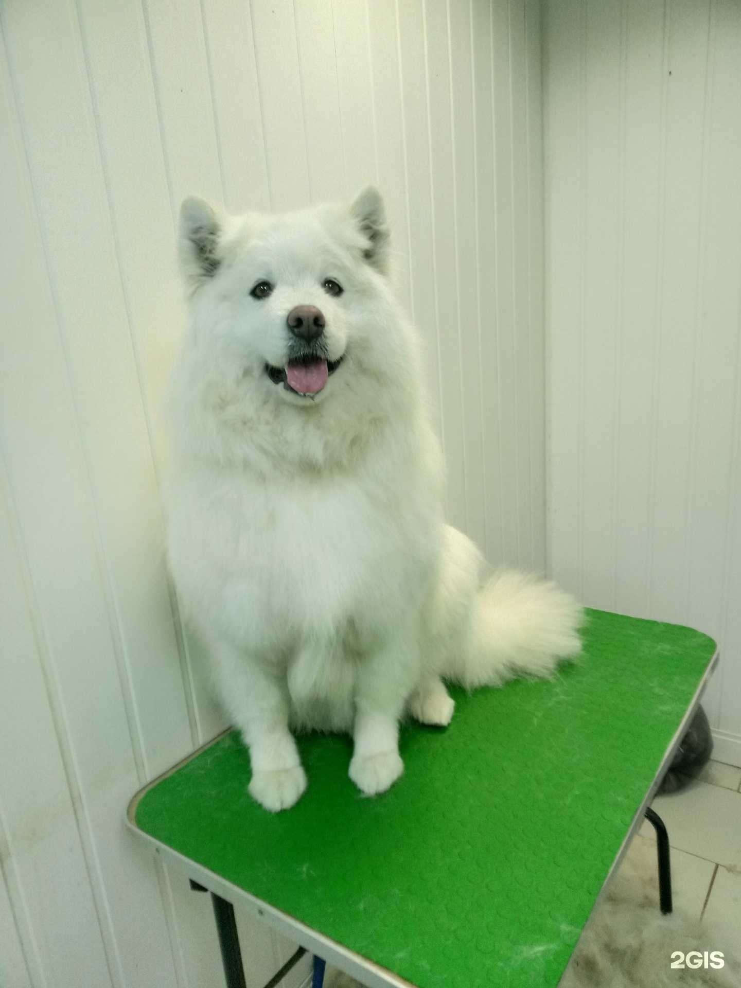 Отзывы на компанию Тимоша в Нижнем Тагиле c фото