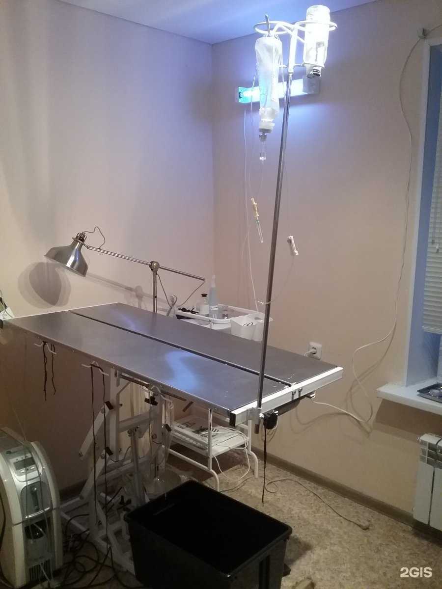 Отзывы на компанию Бонни-вет в г. Уфа c фото