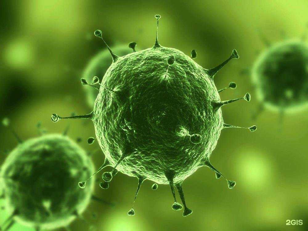 Отзывы на компанию Гамма колор рус в Новосибирске c фото