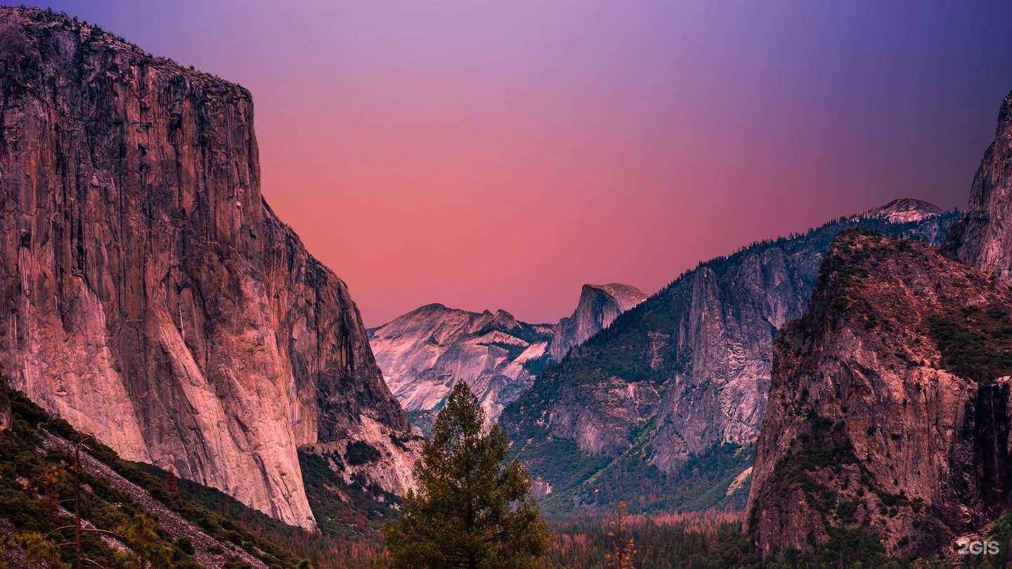 Отзывы на компанию Федерация тхэквондо МФТ Омской области в г. Омск c фото