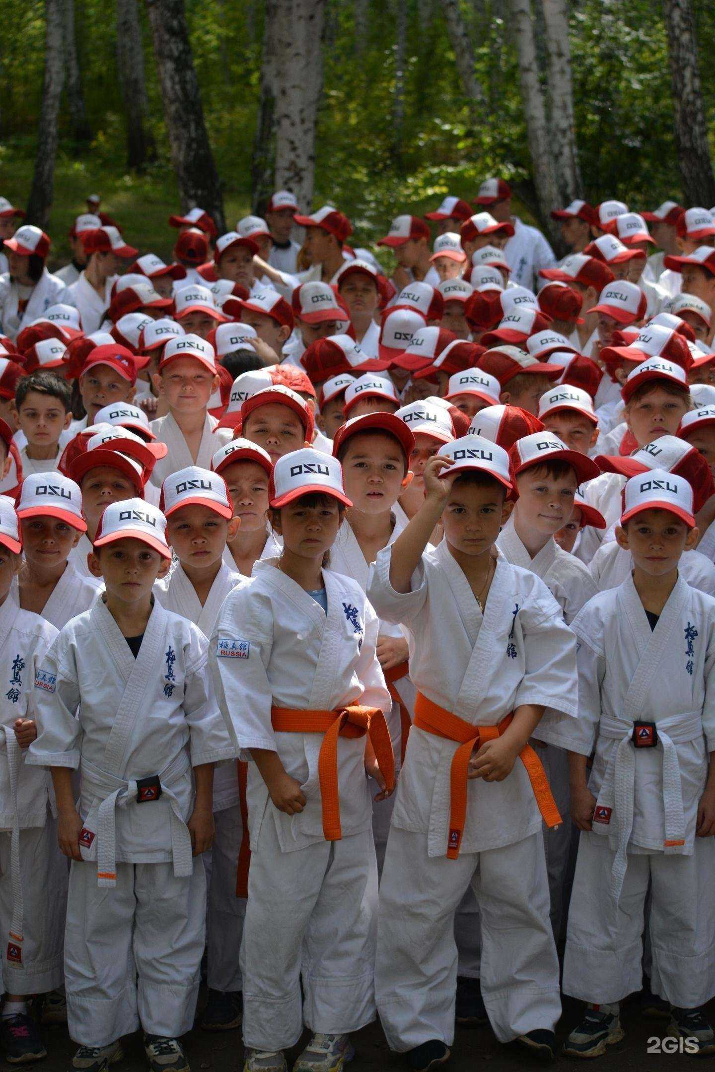 Отзывы на компанию Белый тигр в Челябинске c фото