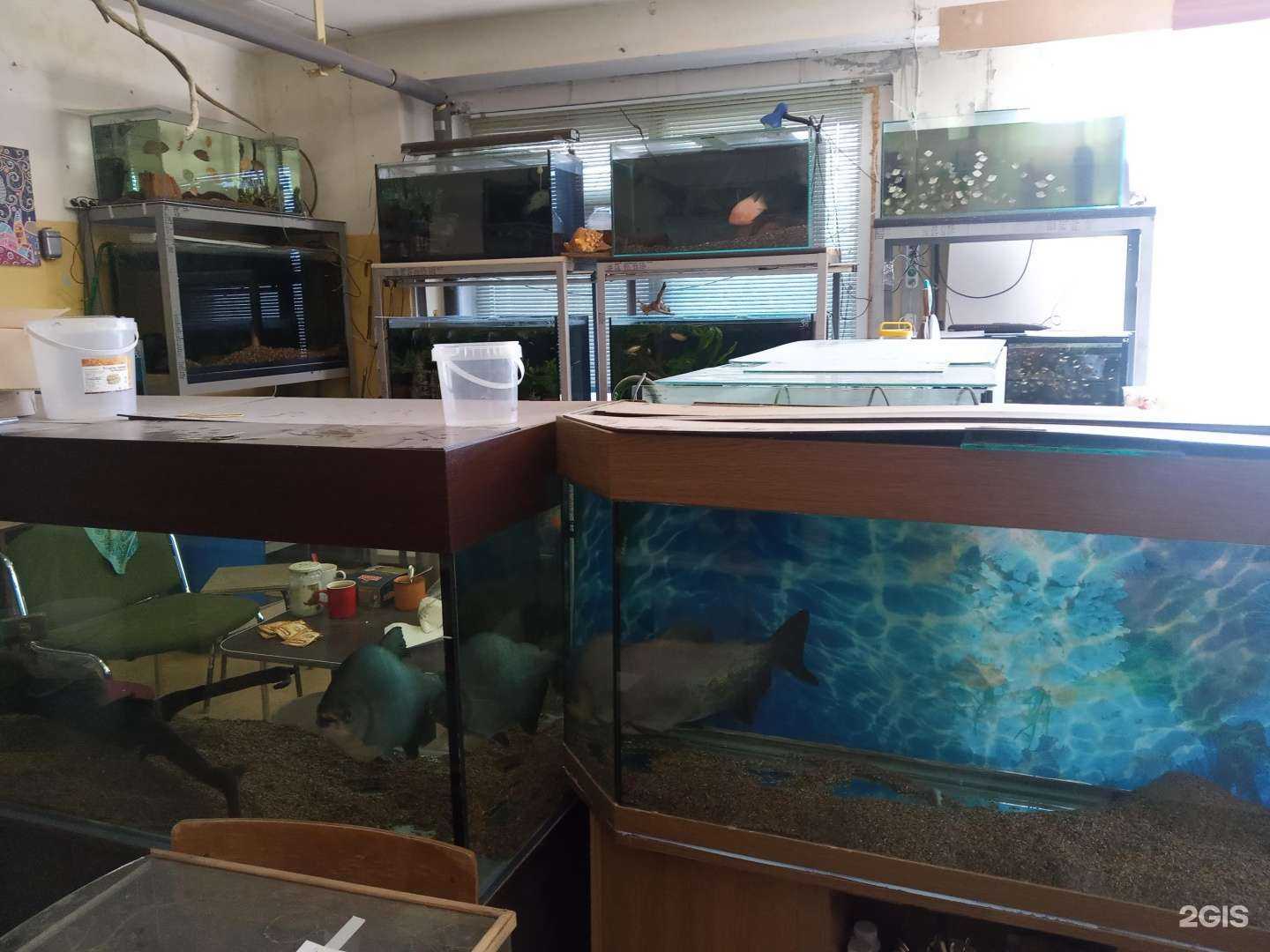 Отзывы на компанию Банка в г. Кировск c фото