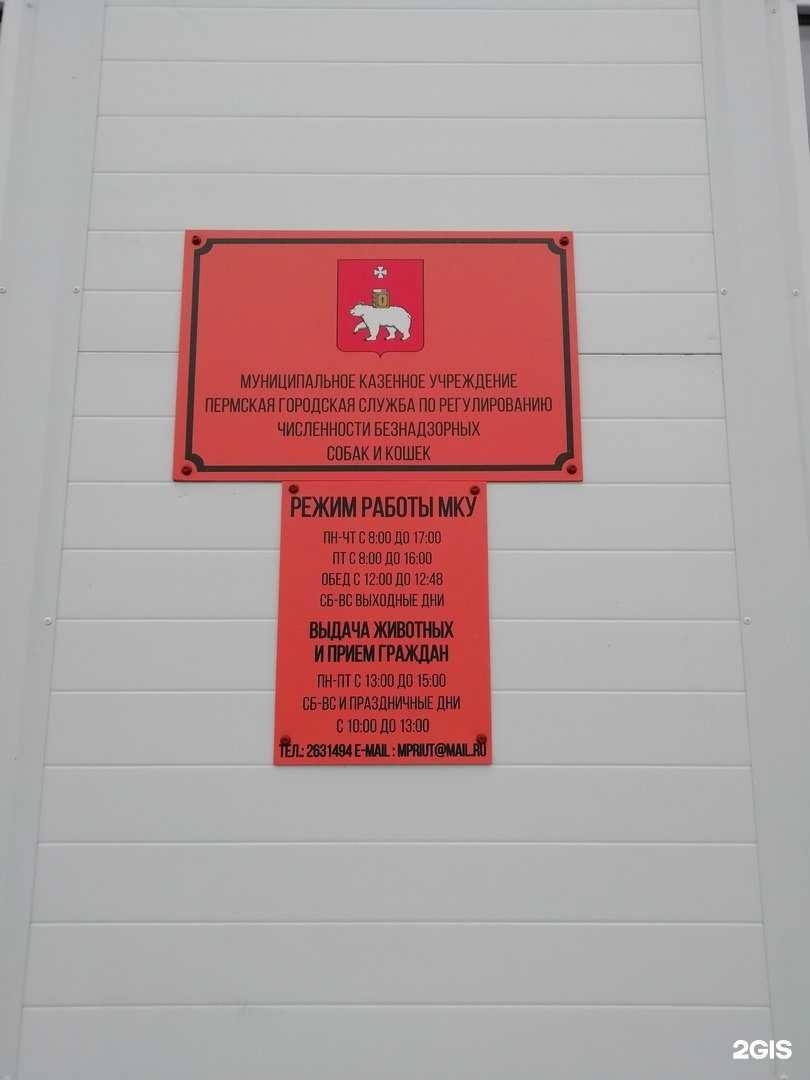 Отзывы на компанию Служба по обращению с животными без владельцев в Перми c фото - фотография 2 из 2