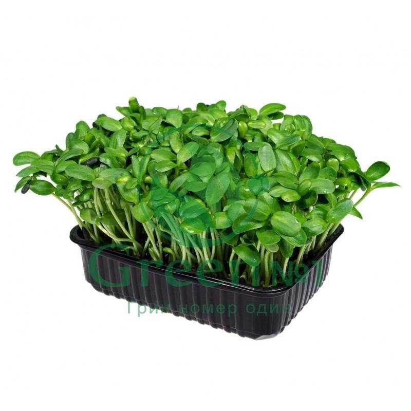 Отзывы на компанию Эковкус в г. Нижний Новгород c фото