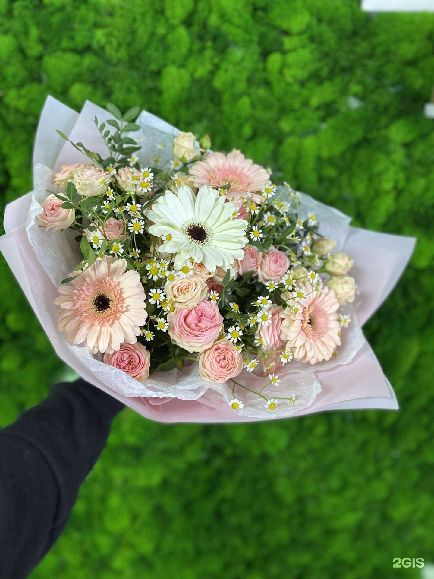 Отзывы на компанию Цведария в Самаре c фото