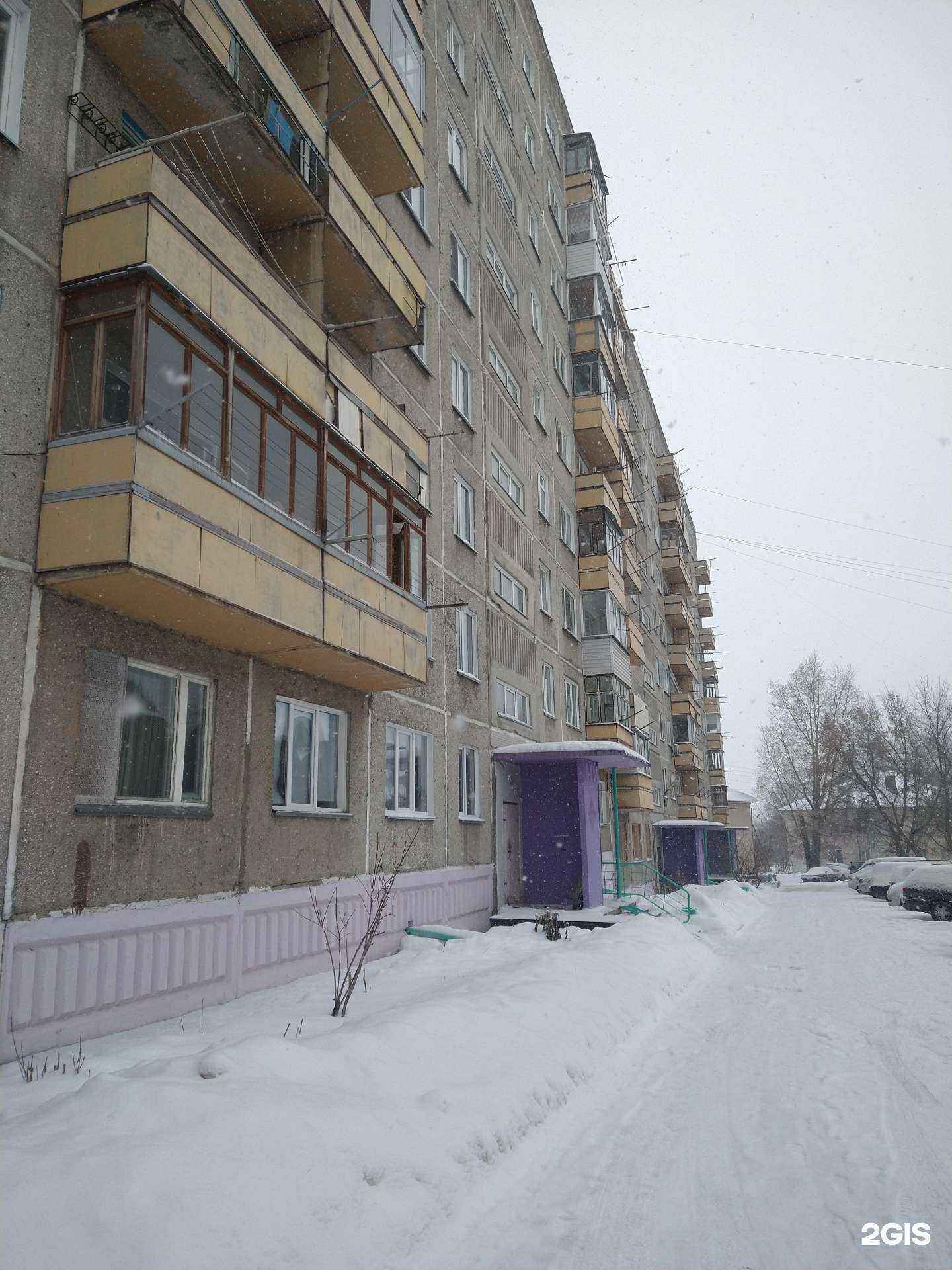 Отзывы на компанию Витязь в Новосибирске c фото - фотография 2 из 2