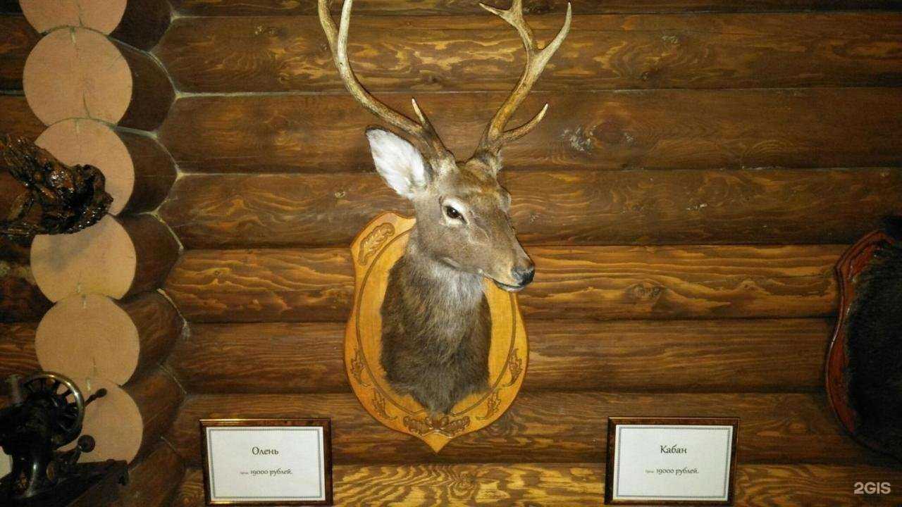 Отзывы на компанию Мышкин двор в Мышкине c фото